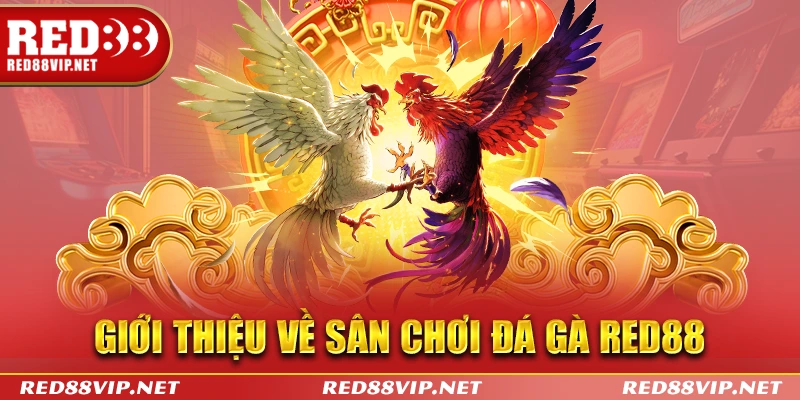 Giới thiệu về sân chơi đá gà red88