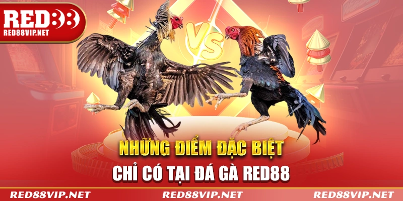 Những điểm đặc biệt chỉ có tại đá gà red88