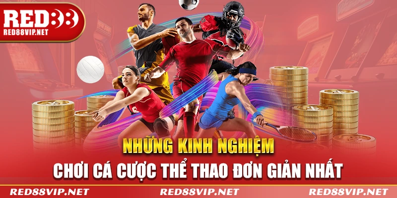 Những kinh nghiệm chơi cá cược thể thao đơn giản nhất 
