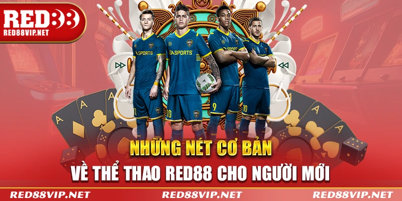 Những nét cơ bản về thể thao Red88 cho người mới tham gia 