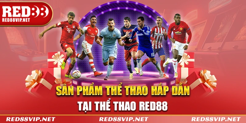 Sản phẩm thể thao hấp dẫn bạn không thể bỏ qua tại thể thao Red88