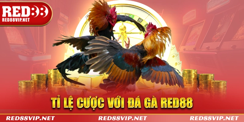 Tỉ lệ cược với đá gà Red88 